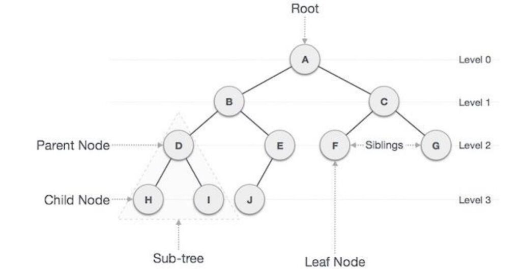 Tree Data Structure 